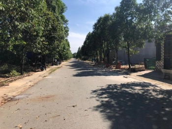 Gia đình tôi cần bán miếng đất 300m2 (10x30m) tại khu dân cư Bình Dương