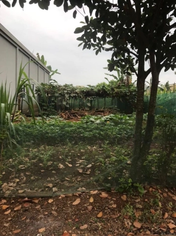 Cần Bán Lô Đất Xã Tây Hiếu