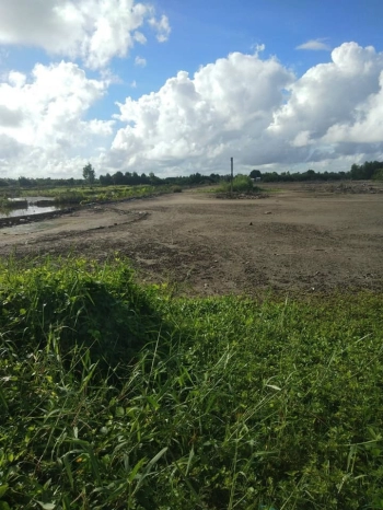 Bán đất nền tại xã Khánh Hưng, huyện Trần Văn Thời