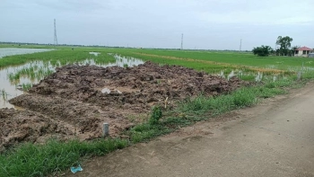 CÒN 02 NỀN DIỆN TÍCH LỚN, LỘ XE HƠI