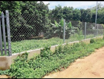 Cần bán vườn bưởi, sổ riêng,gần DT753 đường 12m, giá 600 triệu