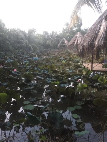 CẦN CHO THUÊ mặt bằng rộng đường Phạm Hữu, phường 6, tp Cao lãnh Đồng Tháp