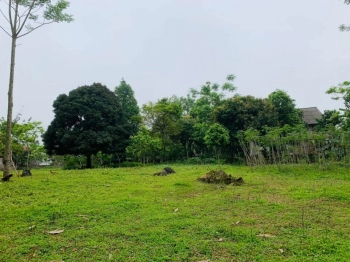 Ở đây có siêu phẩm đất Hòa Bình