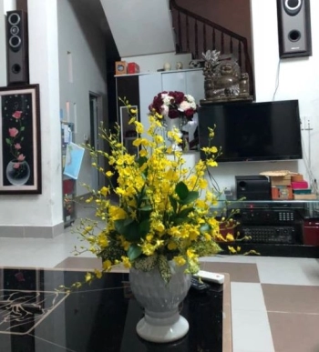 Cần bán nhanh căn nhà 2 tầng Phường Tân Thạnh, Tam Kỳ