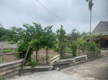 BÁN ĐẤT TT Tân Phong - Quảng Xương - Thanh Hoá