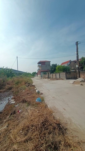 Cần Bán đất tại Hòa Phong ,Mỹ Hào ,Hưng Yên