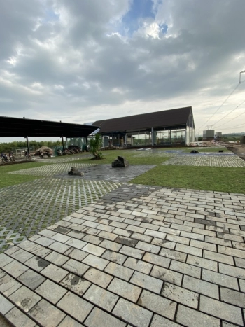 Bán đất Đường Tỉnh Lộ 10, Xã Đức Hòa Đông, Huyện Đức Hoà