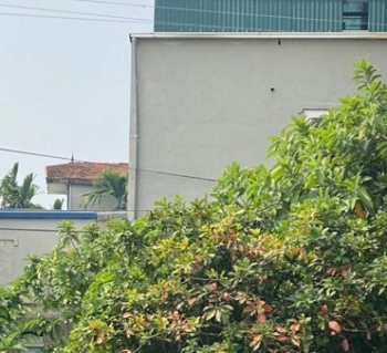 Sót lại duy nhất mảnh đất siêu phẩm 1506m2 xã Phù Lãng, Quế Võ, Bắc Ninh