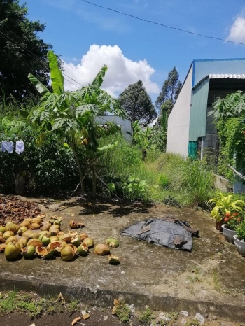 Bán nền Võ Thị Sáu Ngã Sáu Châu Thành Hậu Giang