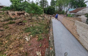 Cần tiền bán nhanh lô đất đẹp