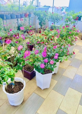 Gấp Bán Nhà Biệt Thự Tân Phú 125m2 5 tầng,5PN,7WC Nhỉnh 20 tỉ XTL