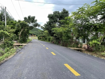 ĐẤT  Mặt  ĐƯỜNG HL62 CẠNH KHU CÔNG NGHIỆP SÔNG CẦU