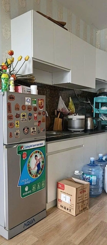 Cho thuê chung cư Topaz home full nội thất, 53m2