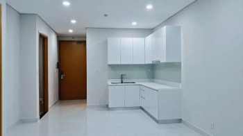 CHO THUÊ CĂN HỘ AN GIA SKYLINE Q7