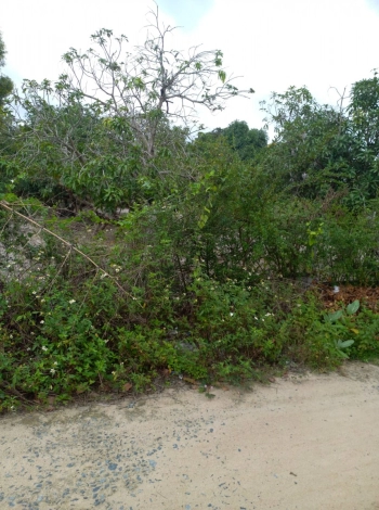 Đất Cam Hiệp Nam đường bê tông xe hơi chạy thoải mái, ngang 20m, thổ cư