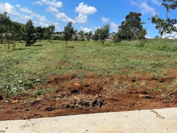 ĐẤT NỀN ĐƯỜNG BÊ TÔNG GIÁ RẺ CHO CÁC NHÀ ĐẦU TƯ