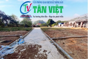 ĐẤT PHAN LÔ  HÓT CUỐI NĂM RẺ NHƯ CHO TẠI QUẢNG THANH