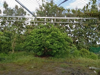 Bán đất full thổ cư tại Định Quán Đồng Nai