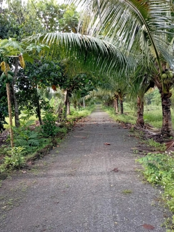 Chính chủ - cần bán gấp nhà vườn 10400m2 full thổ cư tại Định Quán-Đồng Nai