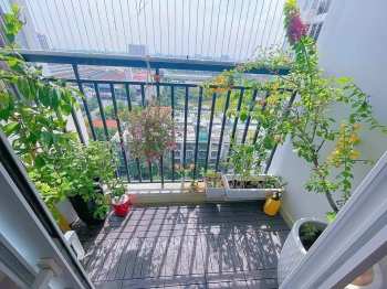 Căn hộ Him Lam Phú Đông, 67m2, 2pn-2wc, 2,360 tỷ, full nội thất, view ban công Đông Nam + hồ bơi