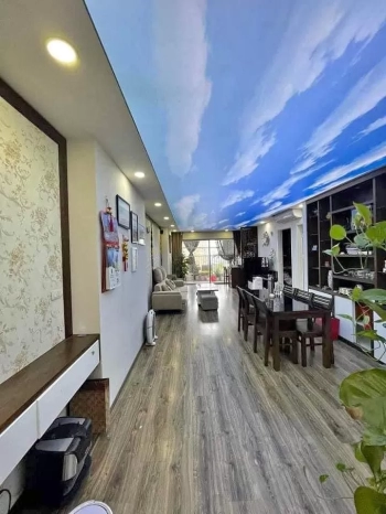 Cho thuê căn hộ Roman Plaza, căn hộ 2 ngủ 2 vệ sinh