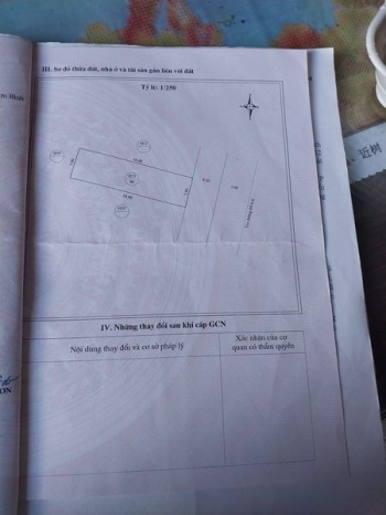 Nhà bán, có thể vừa ở vừa cho trọ hoặc nuôi chim yến