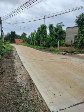 Tôi chính chủ cần bán gấp vườn sầu riêng hơn 1500m2