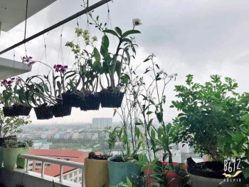 Cho thuê căn hộ lê thành khu B  quận bình tân Dt 120 m2 3pn 2wc nhà có nội thất