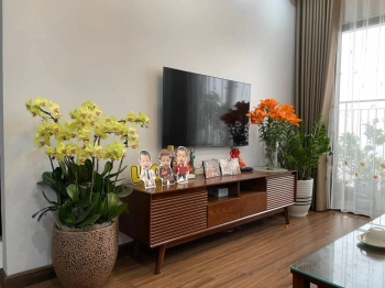 Chính chủ cần bán 2 căn Trả  Góp toà Hope Residences, 70m, 2 ngủ,ko đồ và căn full đồ