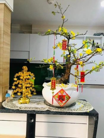 CHO THUÊ CHUNG CƯ JAMONA CITY Q7 2PN 2WC 9,5tr