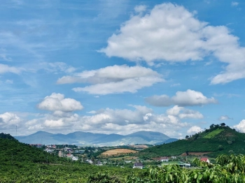 Chính chủ bán 3560m2 đất gần UBND xã Nam Hà giá rẻ quy hoạch full thổ cư