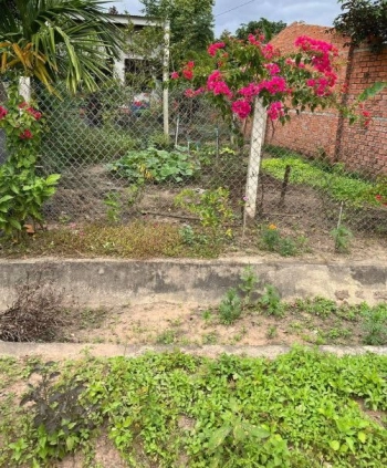 BÁN ĐẤT TẶNG NHÀ MẶT TIỀN ĐƯỜNG