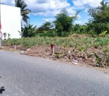 Trang trại sầu riêng tại Đam Rông, chỉ 700 triệu/4000m2