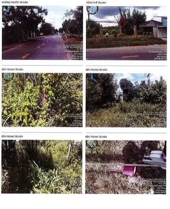 BÁN ĐẤU GIÁ TÀI SẢN TẠI TỈNH BÌNH DƯƠNG (NAY LÀ TP. HCM)