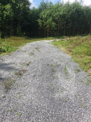 Mua bán đất Xã Khánh Hiệp, Khánh Hoà chỉ từ 350tr Cho hơn 1000m2 TCLN