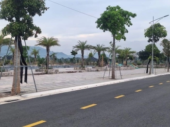 Bán nhanh lô đất biệt thự 133m2/1ty329