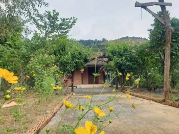 CHỦ CẦN BÁN GẤP NHÀ VƯỜN THỐNG NHẤT - CÓ NHÀ VƯỜN NHỎ, CÂY ĂN TRÁI, GIẾNG NƯỚC. NGÂN HÀNG CÓ HỖ TRỢ VAY