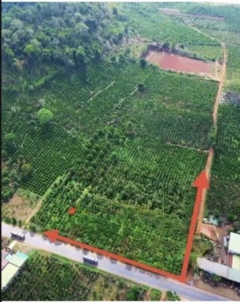 Bán đất ở bên cạnh Quốc lộ 13 và cạnh nút giao với ngã 3 tỉnh lộ. phù hợp kinh doanh trạm xạc và kho bãi