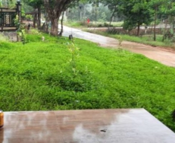 Diện tích hơn 1ha, sẵn thổ cư,tại cát tiên lâm đông