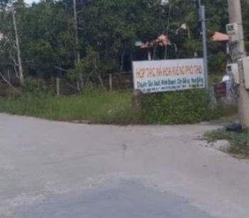 Cần bán 10 hecta đất sẳn 3.000 trụ tiêu, cafe, sầu riêng, vải, bơ