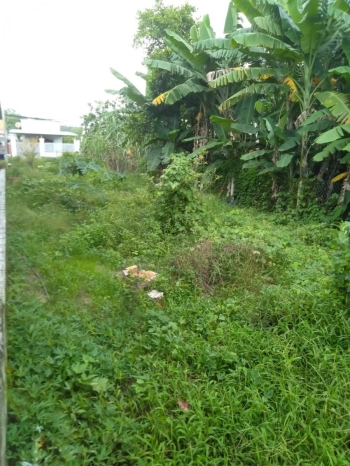 Bán 560m2 đất Củ Chi sổ hồng riêng giá rẻ