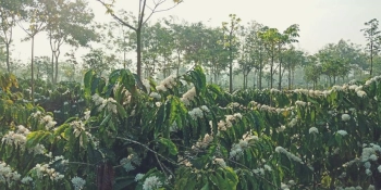 CẦN BÁN RẪY XÃ VỤ BỔN