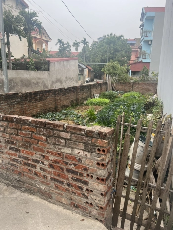 Bán đất sổ đỏ, đất hai mặt tiền 