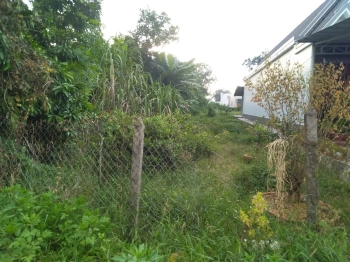 Bán 560m2 đất Củ Chi sổ hồng riêng giá rẻ