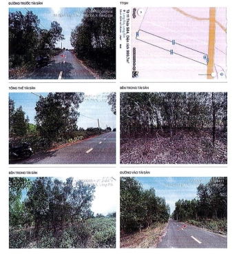 BÁN ĐẤU GIÁ BẤT ĐỘNG SẢN TẠI BÀ RỊA - VŨNG TÀU (NAY LÀ TP, HCM)