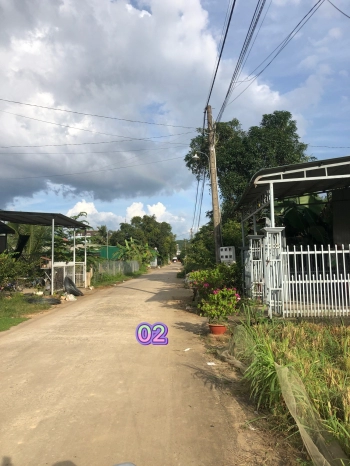 Đất nền siêu rẻ tt cát tiên lâm đồng 