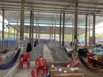 TRẠI GÀ SIÊU ĐẸP MỎ CÀY NAM BẾN TRE  GÍ HẤP DẪN  QUÁ ĐẸP CHO 1 SIÊU PHẨM