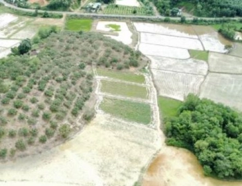 Đất đầu tư giá rẻ tại Cát Tiên, Lâm Đồng.