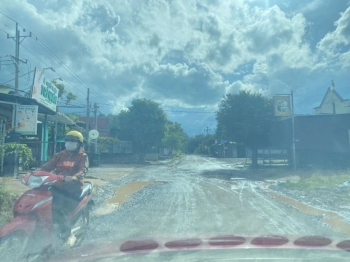 Đất khu vực Phú Riềng-  Bình Phước 295tr/nền Diện tích 1000-1800m2 12x84