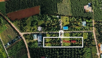 CHỈ VỚI 3,6 TỶ SỞ HỮU GẦN 3000M2 ĐẤT NHÀ VƯỜN NGHỈ DƯỠNG CÓ 425M2 THỔ CƯ GẦN ĐÀ LẠT